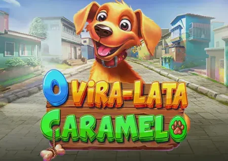 O Vira-lata Caramelo 